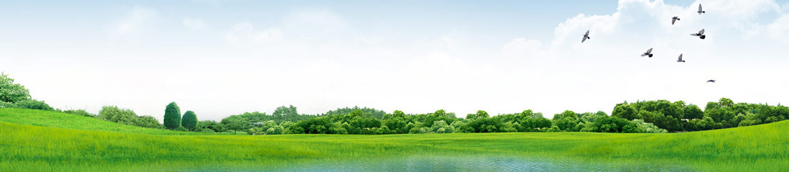 新聞動(dòng)態(tài)廣告圖